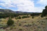 67 Camino Del Canon - Photo 4