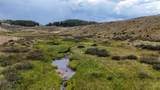 TBD Usfs Road 93 - Photo 21