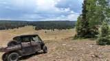 TBD Usfs Road 93 - Photo 23
