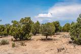 56 Paseo Del Coyote - Photo 17