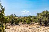 56 Paseo Del Coyote - Photo 18