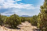 56 Paseo Del Coyote - Photo 19