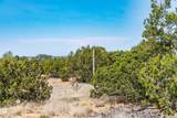 56 Paseo Del Coyote - Photo 22