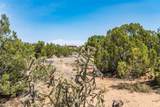 56 Paseo Del Coyote - Photo 24