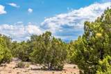 56 Paseo Del Coyote - Photo 25