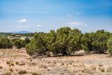 56 Paseo Del Coyote - Photo 5