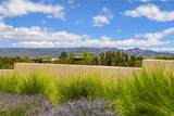 4 Basin View Court - Photo 65