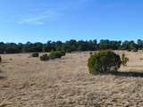 124 Tierra Del Dios Road - Photo 4