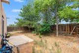 4301 Calle Andrew - Photo 35