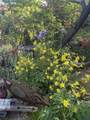 2800 Cerrillos Road - Photo 35
