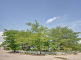 152 Calle Corazon - Photo 4