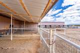 31 A Calle Estevan - Photo 34