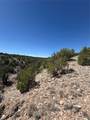 7 Rancho De Shama - Photo 22