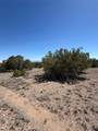 7 Rancho De Shama - Photo 15