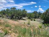 87 Camino Valle - Photo 43