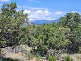 87 Camino Valle - Photo 44