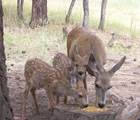 7 Private Drive 1759 - Photo 12