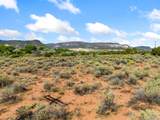 TBD 5 AC Us Hwy 84 - Photo 13