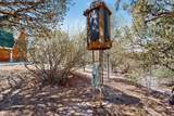 61 Coyote - Photo 26