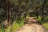 3101 Old Pecos Trail - Photo 27