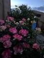 23 Monterey Road - Photo 40