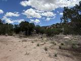 18 Sparrow Lane - Photo 7
