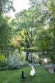 1075 Paseo De Peralta - Photo 54