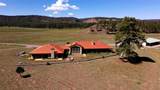 66 Elk Trail - Photo 14