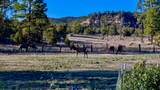 66 Elk Trail - Photo 22