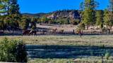 66 Elk Trail - Photo 23