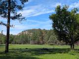66 Elk Trail - Photo 28