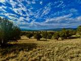 66 Elk Trail - Photo 4