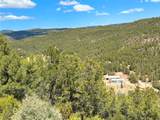 53 County Road B44c - Photo 42