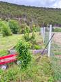 53 County Road B44c - Photo 49