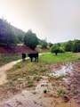 53 County Road B44c - Photo 50