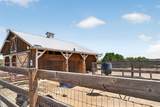 78 Private Drive 1614A - Photo 48