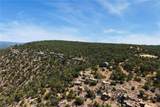 201-B Soaring Hawk Trail - Photo 13