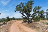 201-B Soaring Hawk Trail - Photo 23