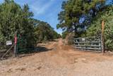201-B Soaring Hawk Trail - Photo 5