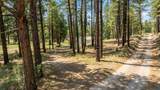 504 Vallecitos Road - Photo 38