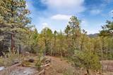 53 Avenida Ponderosa - Photo 43