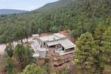 53 Avenida Ponderosa - Photo 46