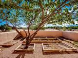 311 Potrillo Drive - Photo 87