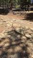 TBD Sawyer Mesa Road - Photo 15