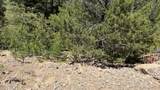 TBD Sawyer Mesa Road - Photo 16