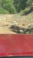 TBD Sawyer Mesa Road - Photo 21