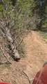TBD Sawyer Mesa Road - Photo 24