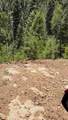 TBD Sawyer Mesa Road - Photo 41