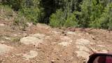 TBD Sawyer Mesa Road - Photo 42