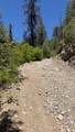 TBD Sawyer Mesa Road - Photo 47